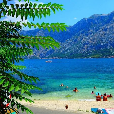Bay Of Kotor View Apartment With Pool Prcanj Ngoại thất bức ảnh