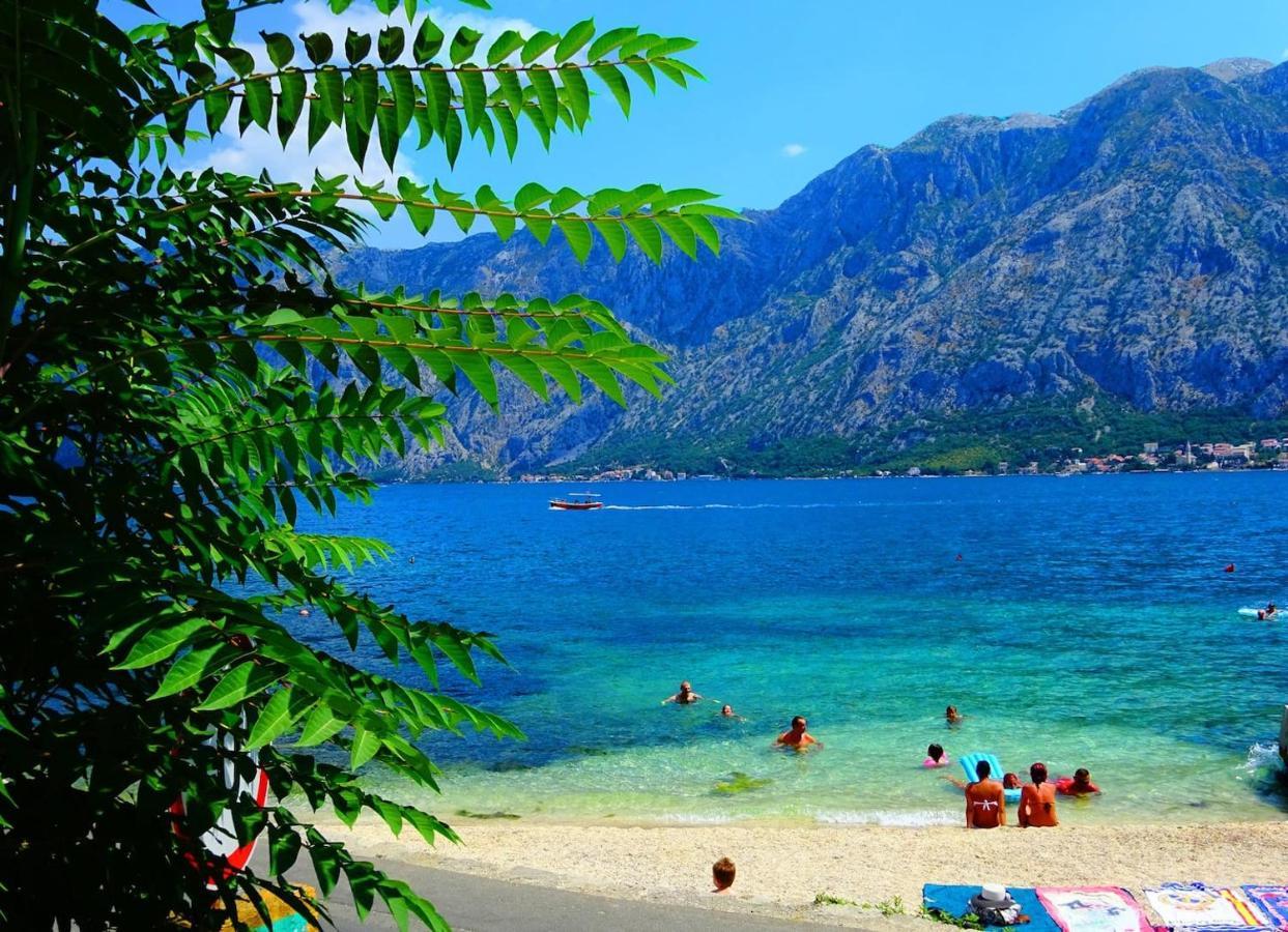 Bay Of Kotor View Apartment With Pool Prcanj Ngoại thất bức ảnh